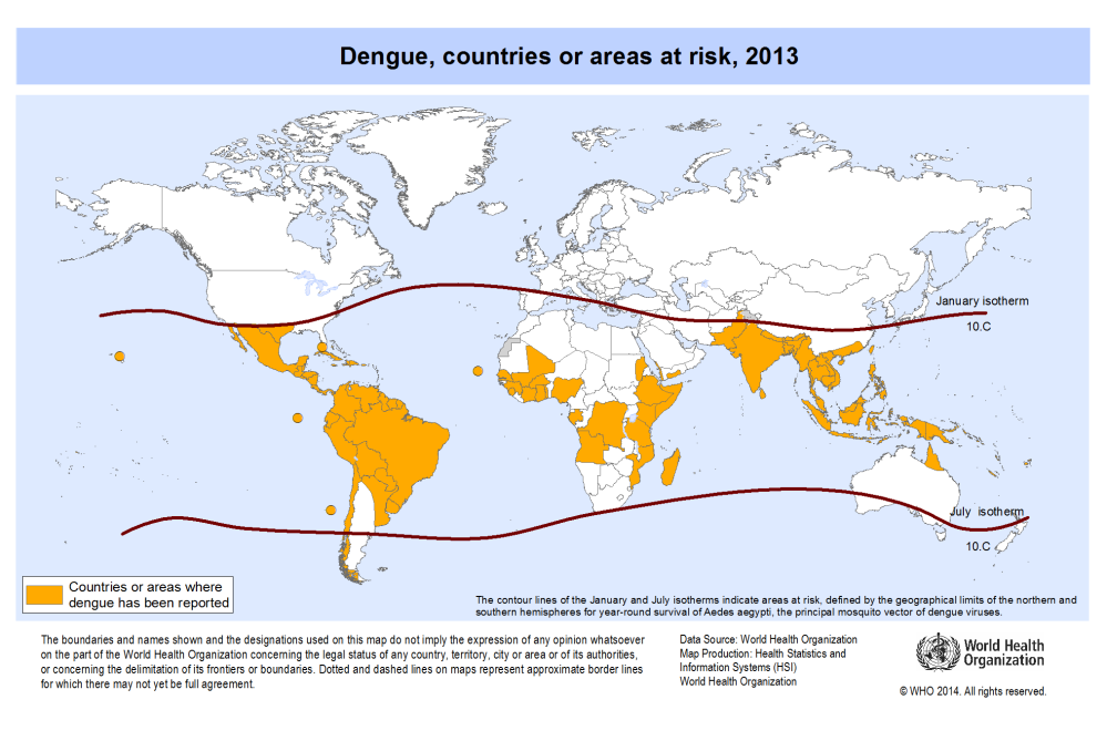 Dengue on the Rise